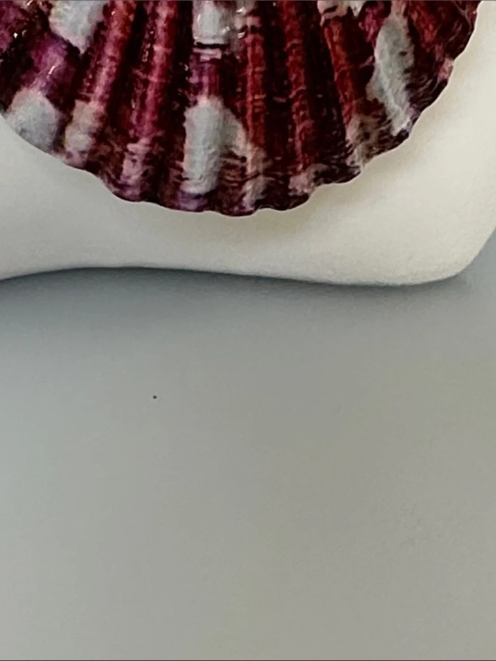 Beige Shell Statement Necklace with Maroon Shell Pendant and Gold Accent​​